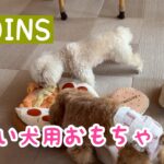 【3COINS】可愛いノーズワークおもちゃに夢中になったトイプードル